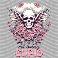 Valentine's Day-QRJ  1715